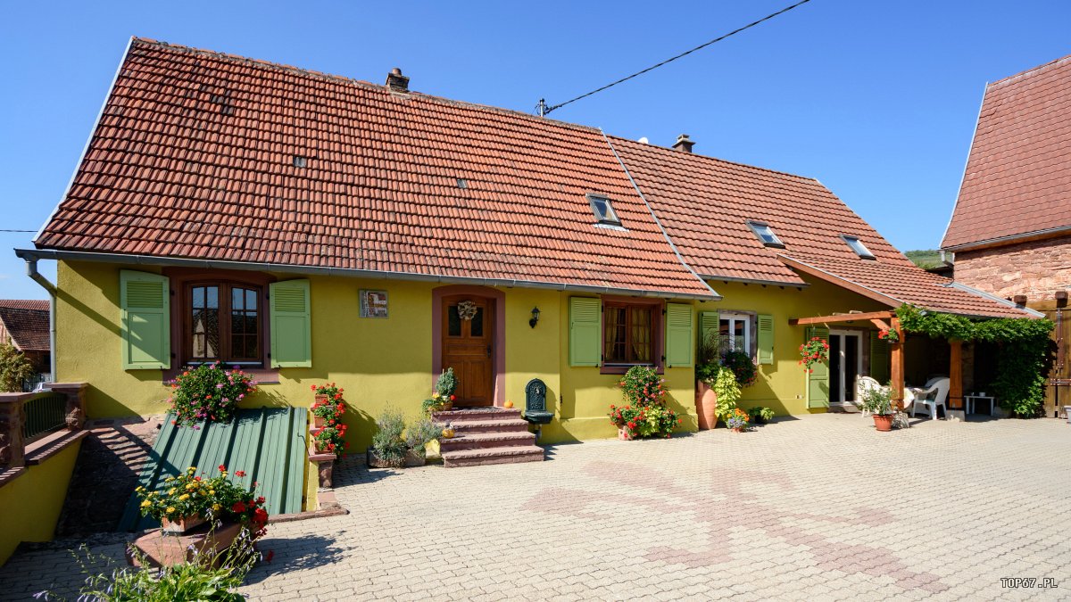 TP9_1684.jpg - Marlenheim