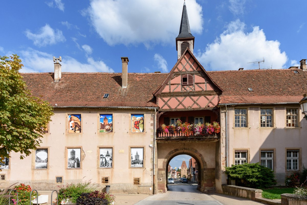 TP9_1772.jpg - Rosheim