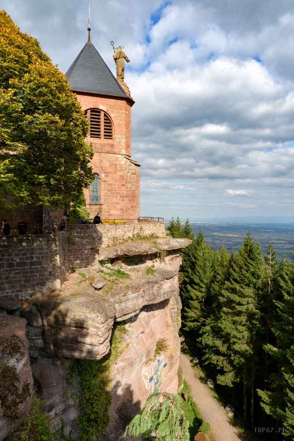 TP9_1806.jpg - Mont Sainte-Odile