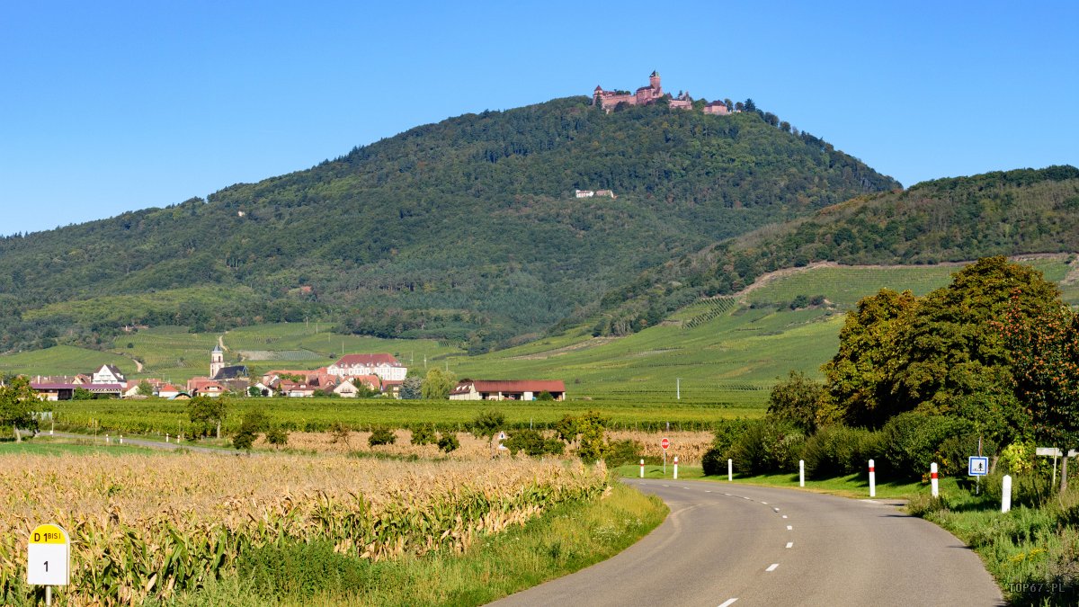 TP9_1847.jpg - Château du Haut-Kœnigsbourg