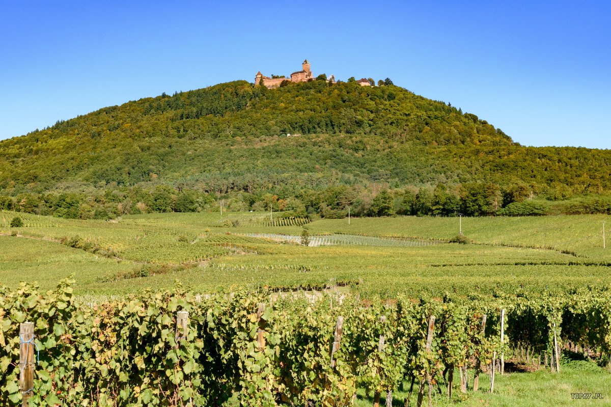 TP9_1903.jpg - Château du Haut-Kœnigsbourg