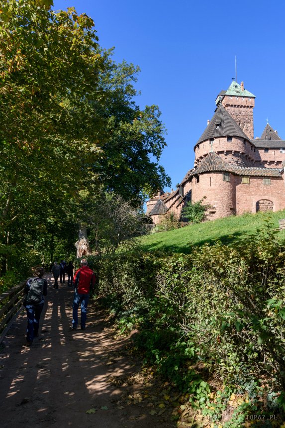 TP9_1949.jpg - Château du Haut-Kœnigsbourg