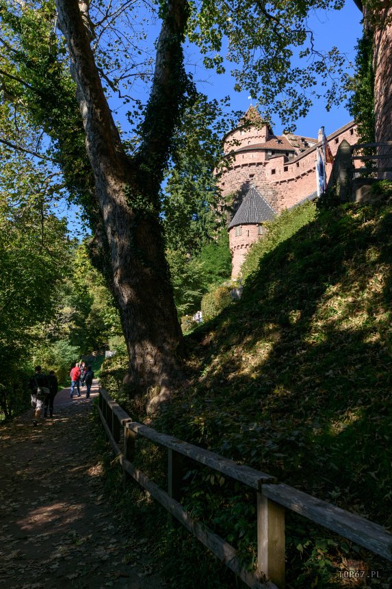 TP9_1962.jpg - Château du Haut-Kœnigsbourg