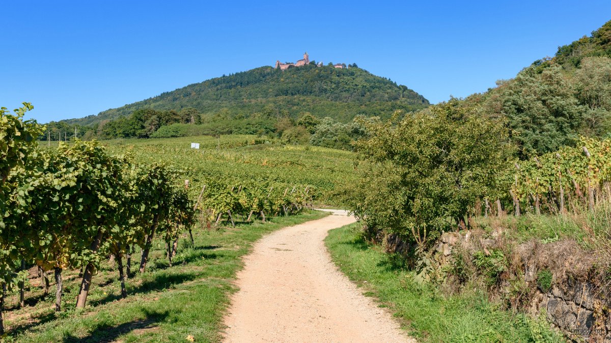 TP9_2023.jpg - Château du Haut-Kœnigsbourg