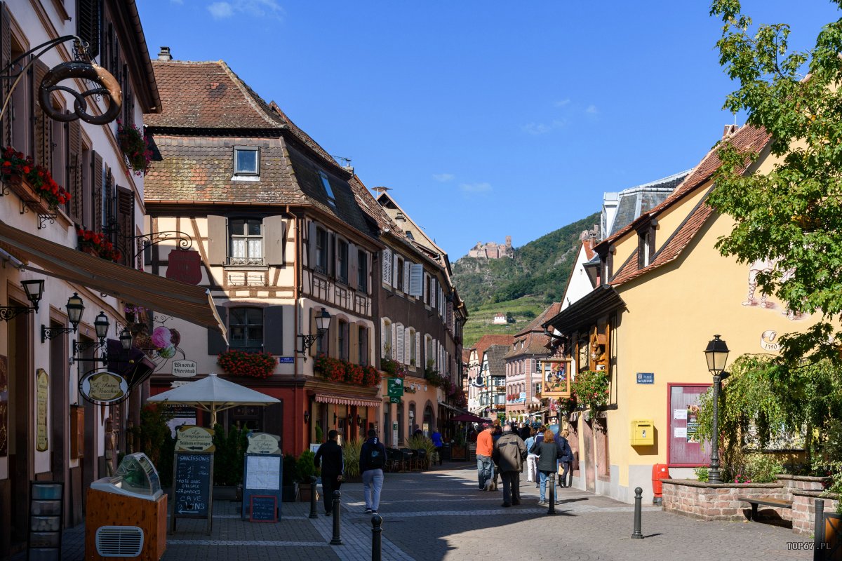 TP9_2063.jpg - Ribeauvillé