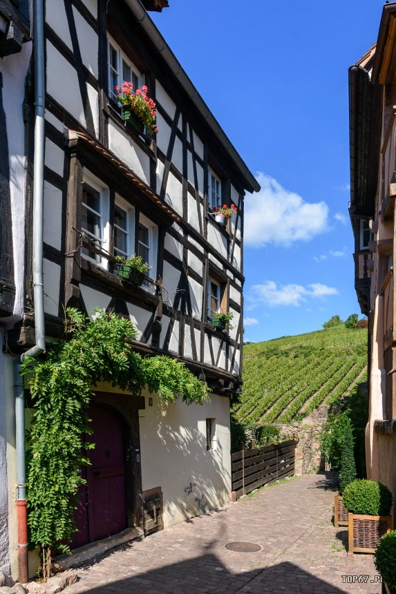 TP9_2134.jpg - Riquewihr