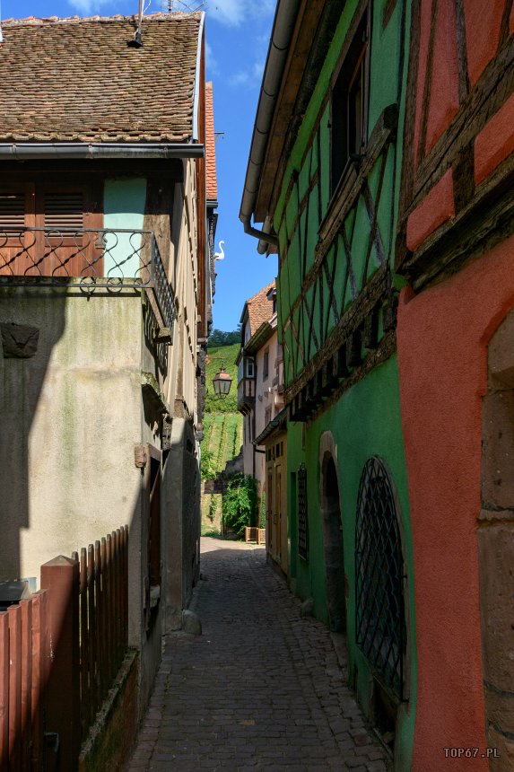 TP9_2138.jpg - Riquewihr