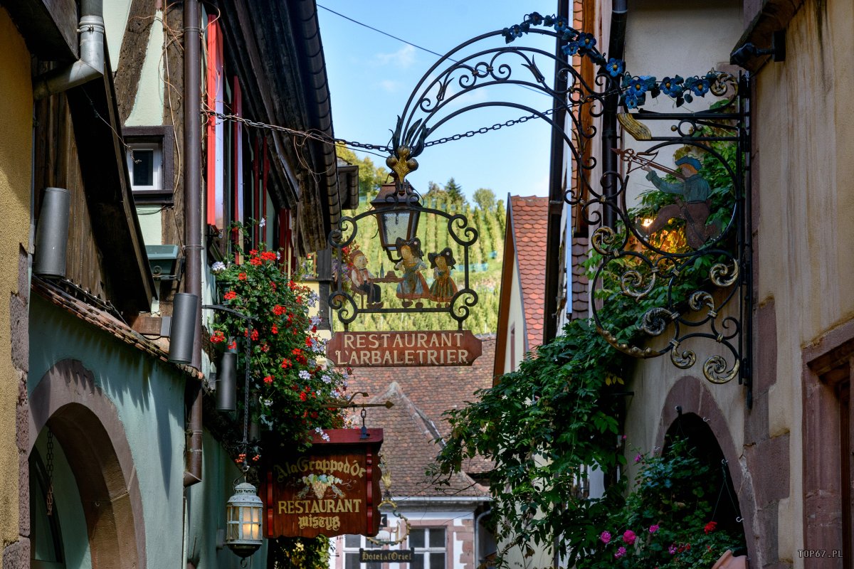 TP9_2237.jpg - Riquewihr