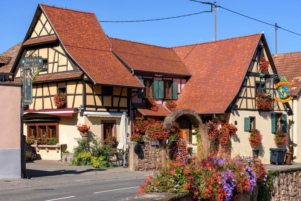 TP9_2511.jpg - Eguisheim