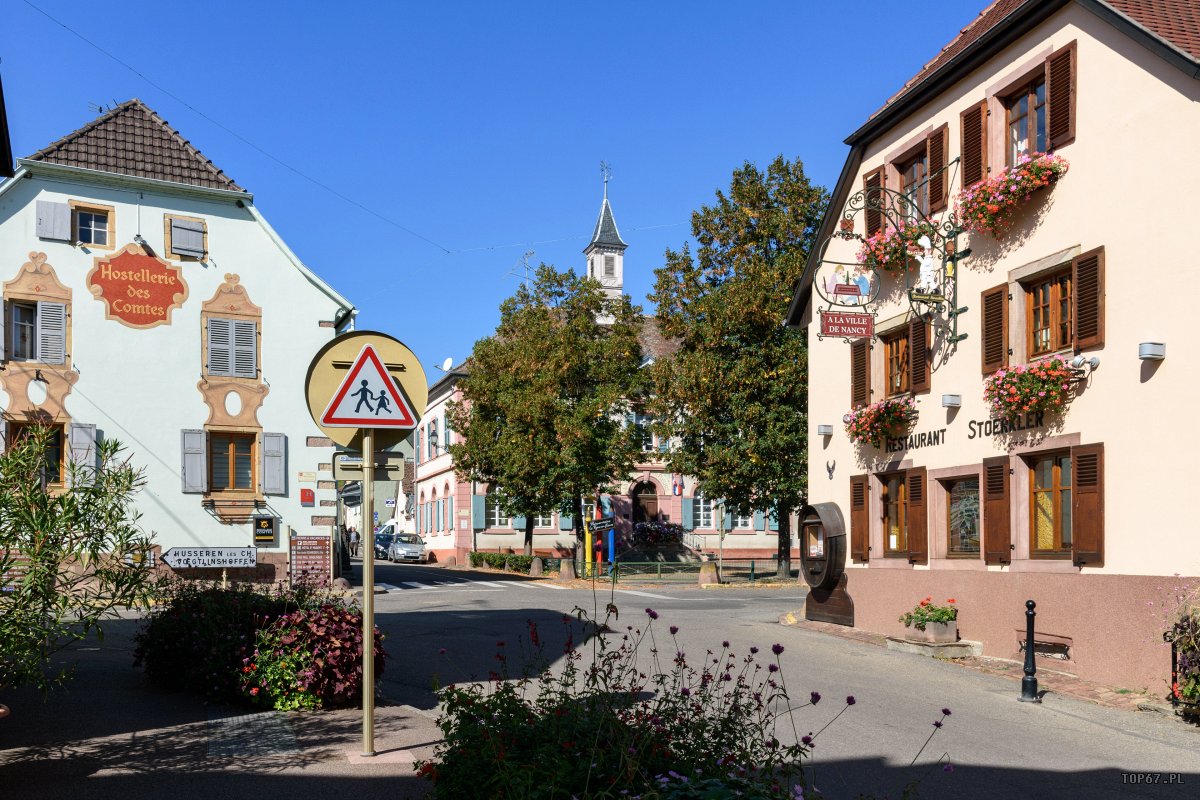 TP9_2535.jpg - Eguisheim