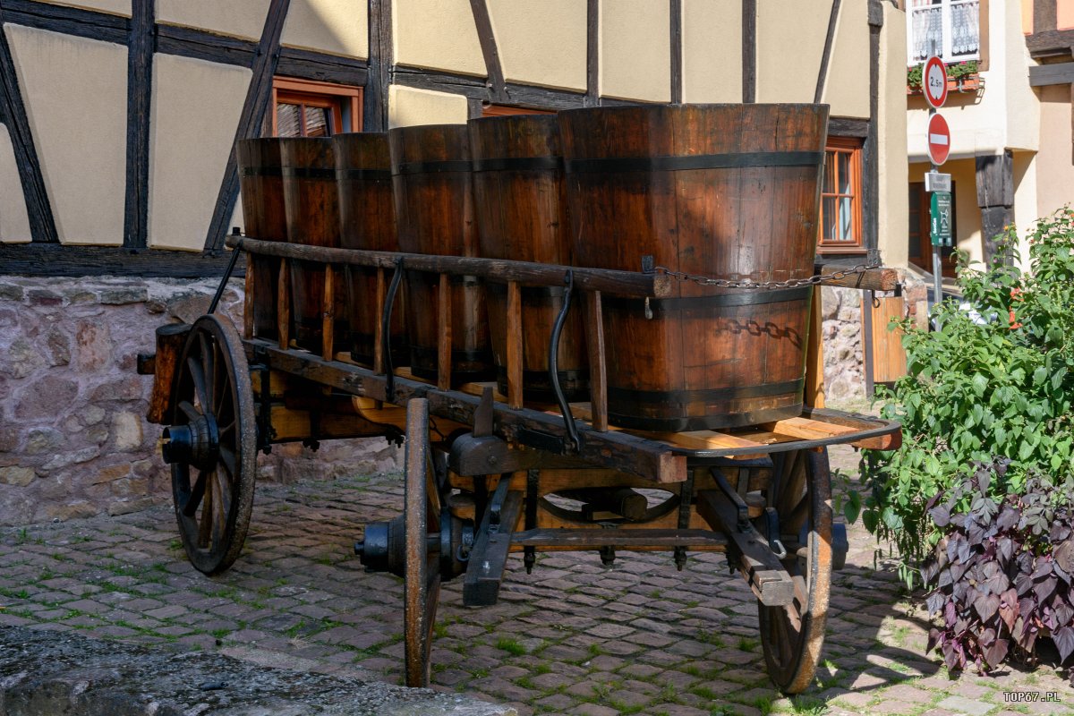 TP9_2562.jpg - Eguisheim