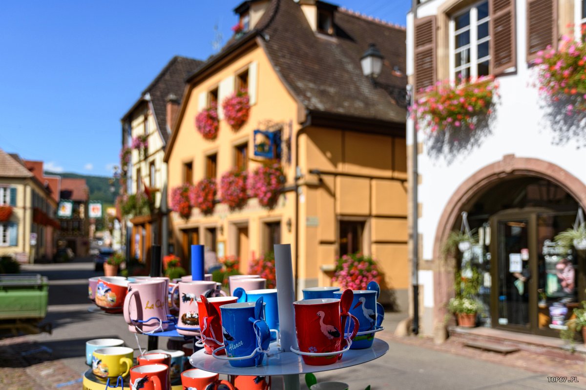 TP9_2605.jpg - Eguisheim