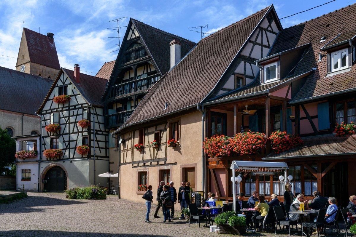 TP9_2607.jpg - Eguisheim