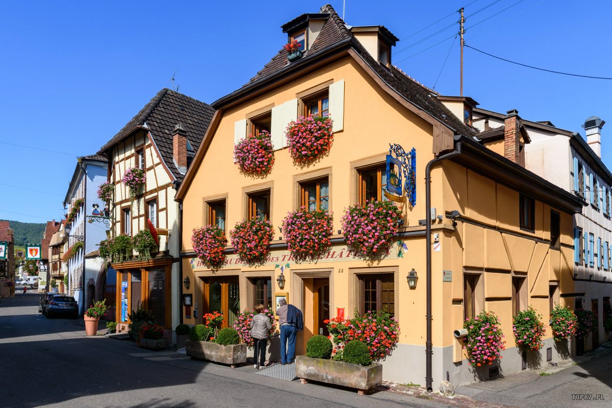 TP9_2608.jpg - Eguisheim