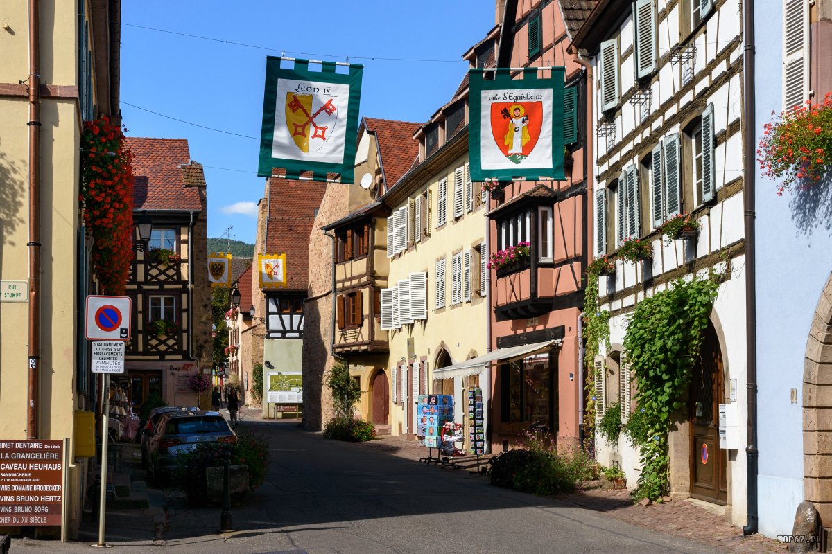 TP9_2611.jpg - Eguisheim