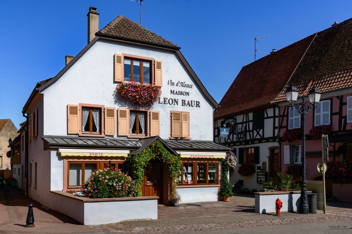 TP9_2619.jpg - Eguisheim