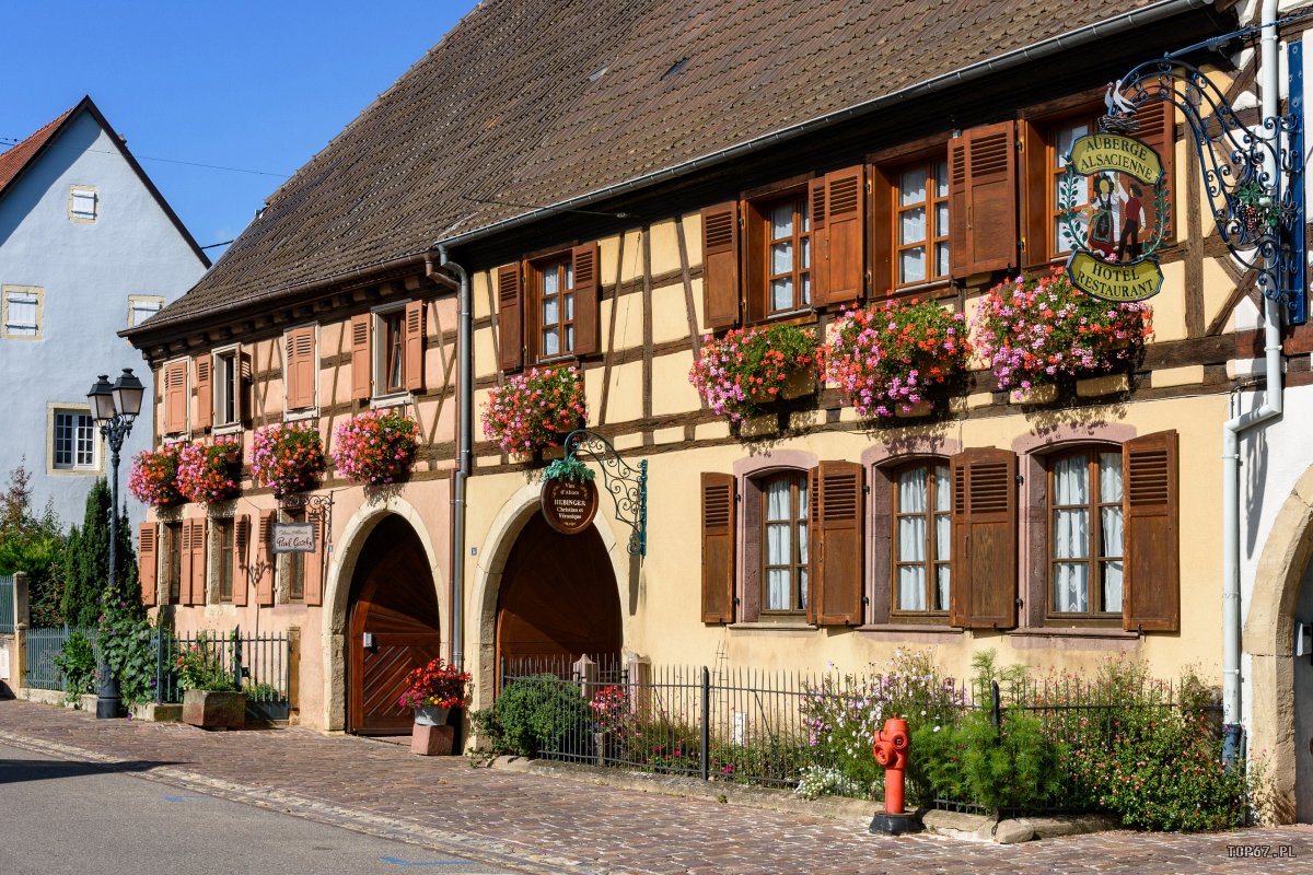 TP9_2634.jpg - Eguisheim