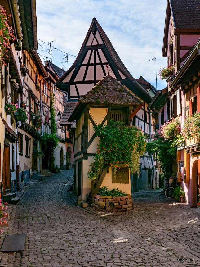 TP9_2638.jpg - Eguisheim