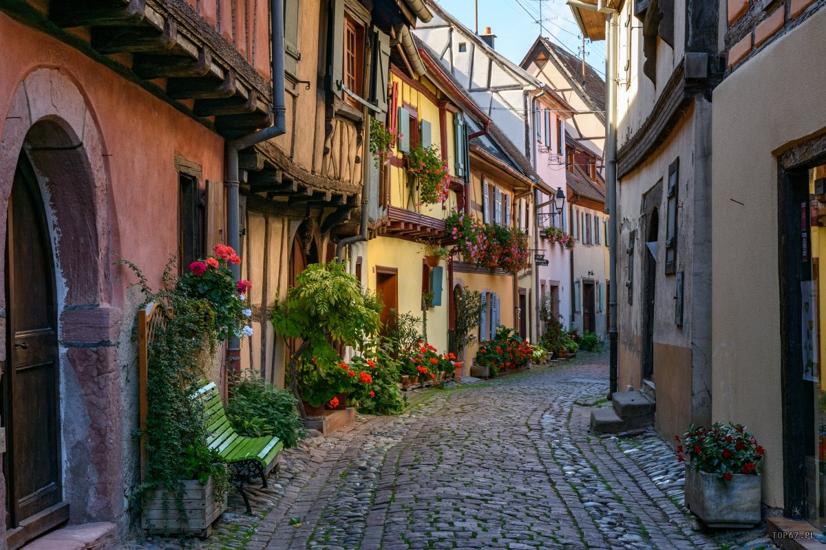 TP9_2649.jpg - Eguisheim