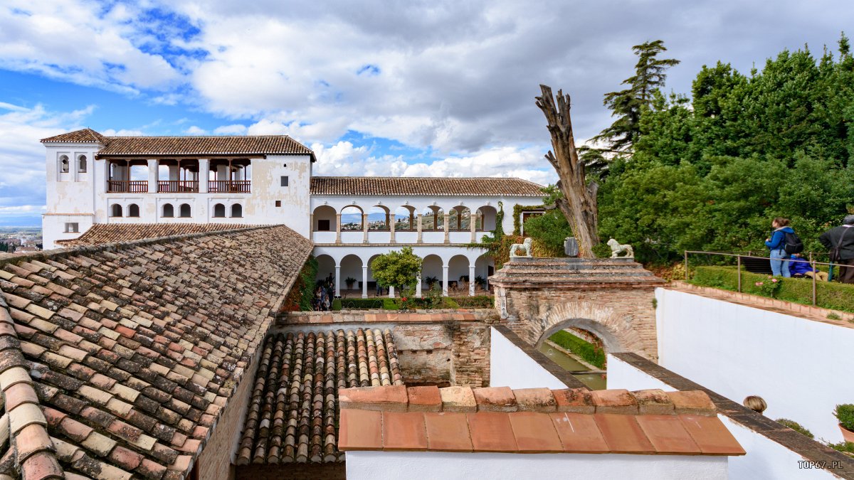TP9_3674.jpg - Alhambra