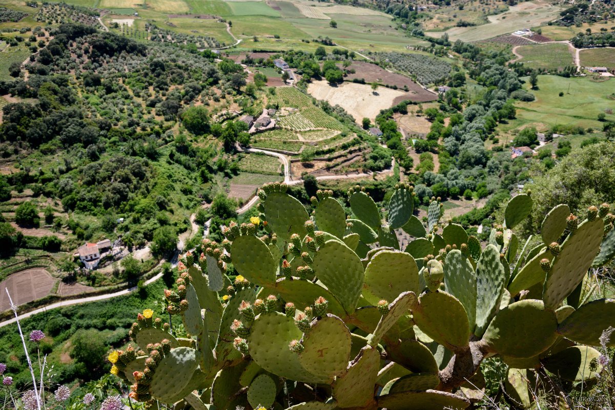 TP8_4581.jpg - Ronda