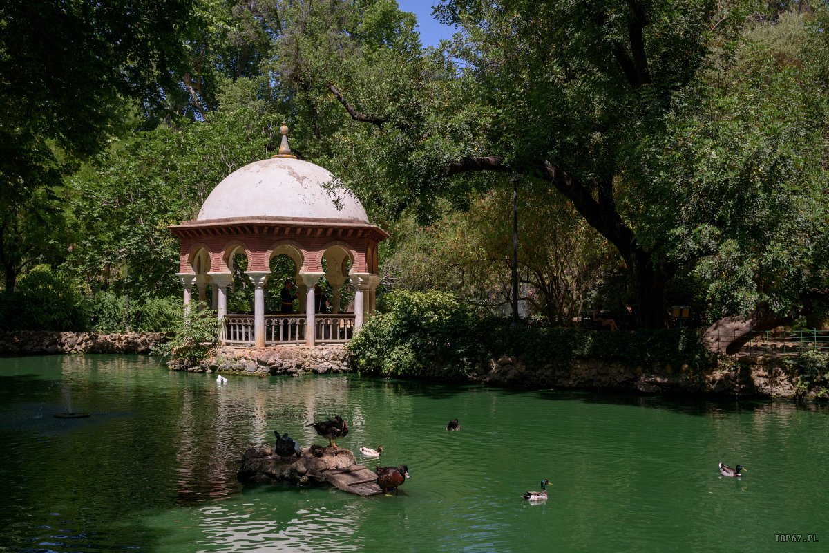 TP8_4937.jpg - Sewilla