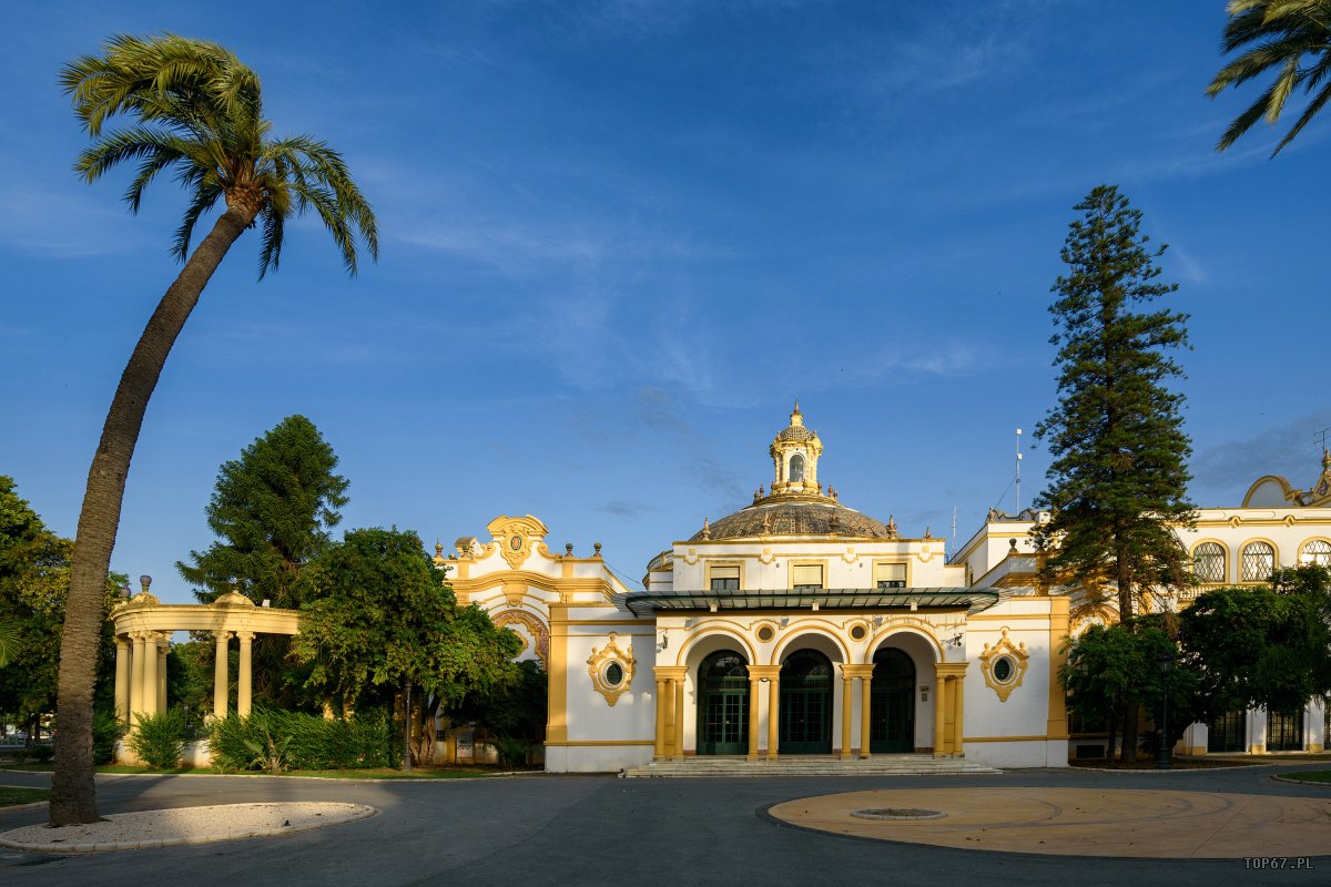 TP8_5081.jpg - Sewilla