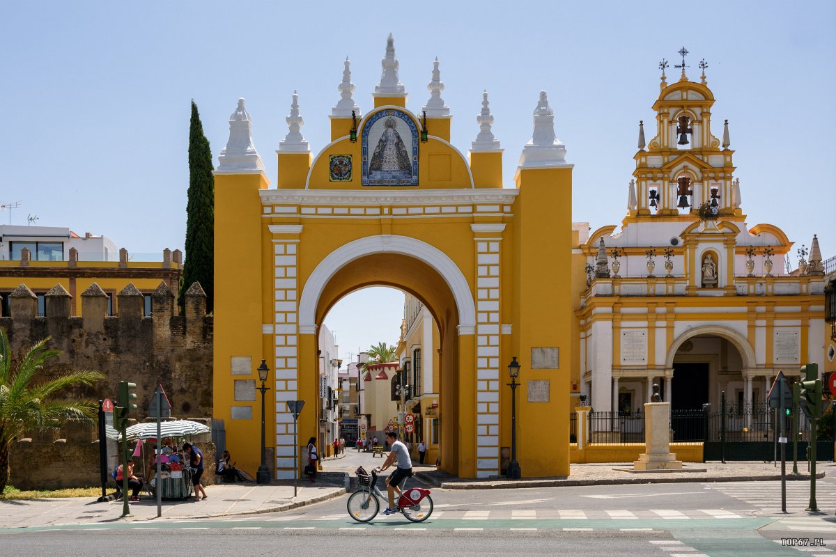 TP8_5343.jpg - Sewilla