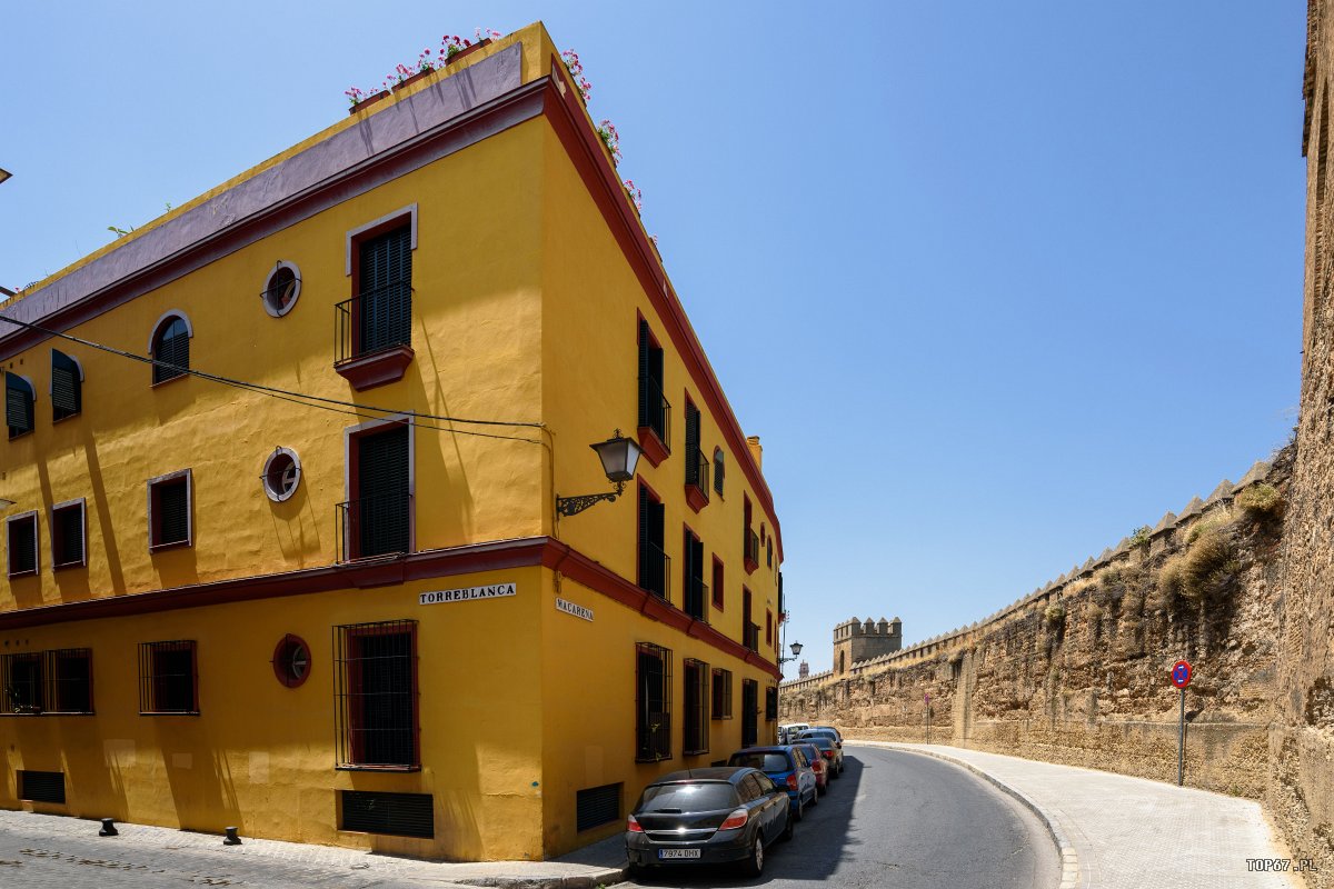 TP8_5351.jpg - Sewilla