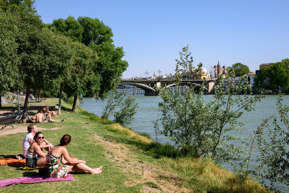 TP8_5389.jpg - Sewilla