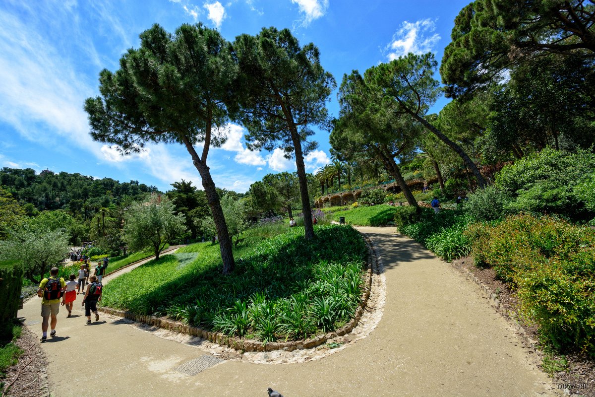 TP4_2110.jpg - Park Guell