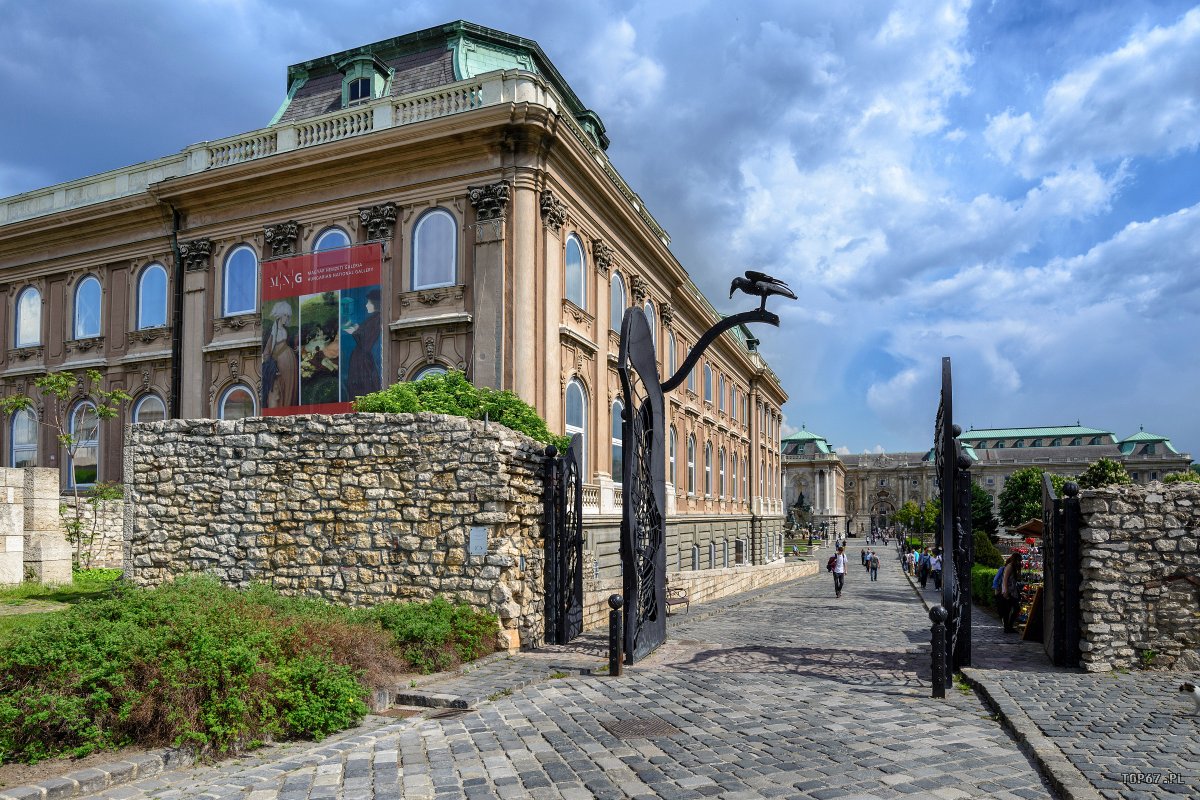 TP6_4827.jpg