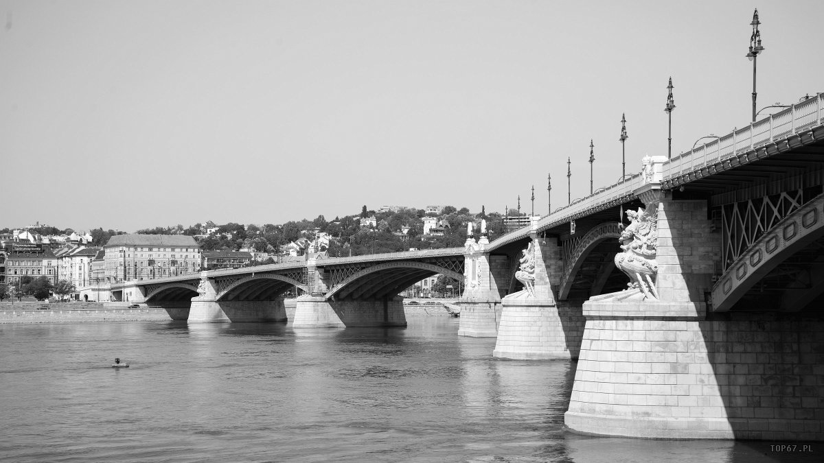 TP6_5431.jpg