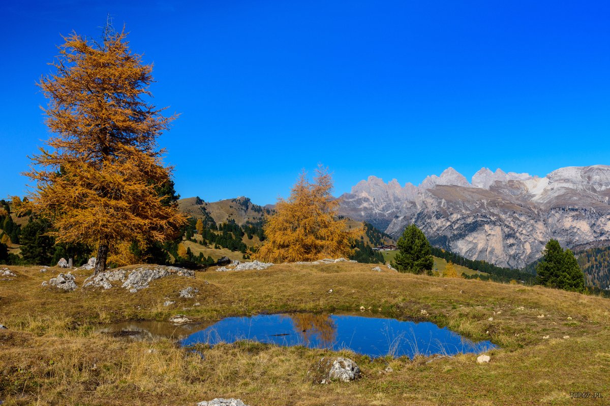 TPD_0660.jpg - widok z Passo Sella