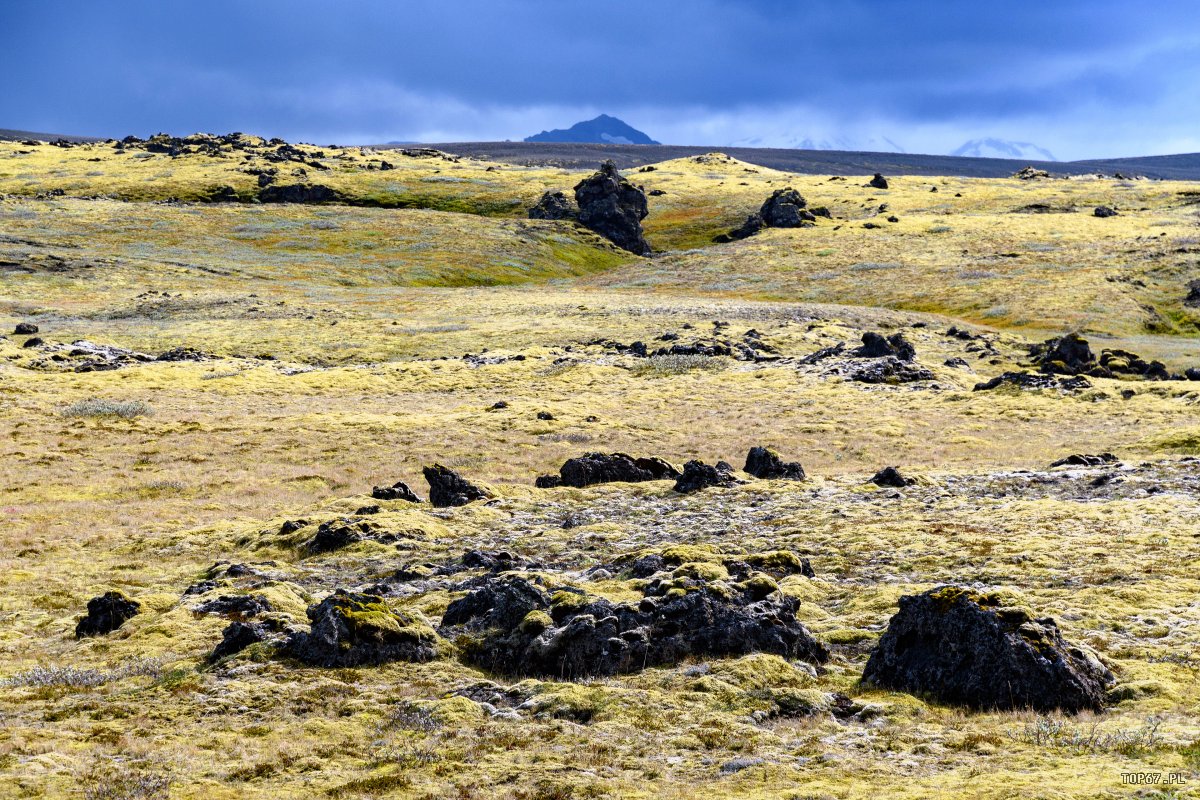 TPE_6052.jpg
