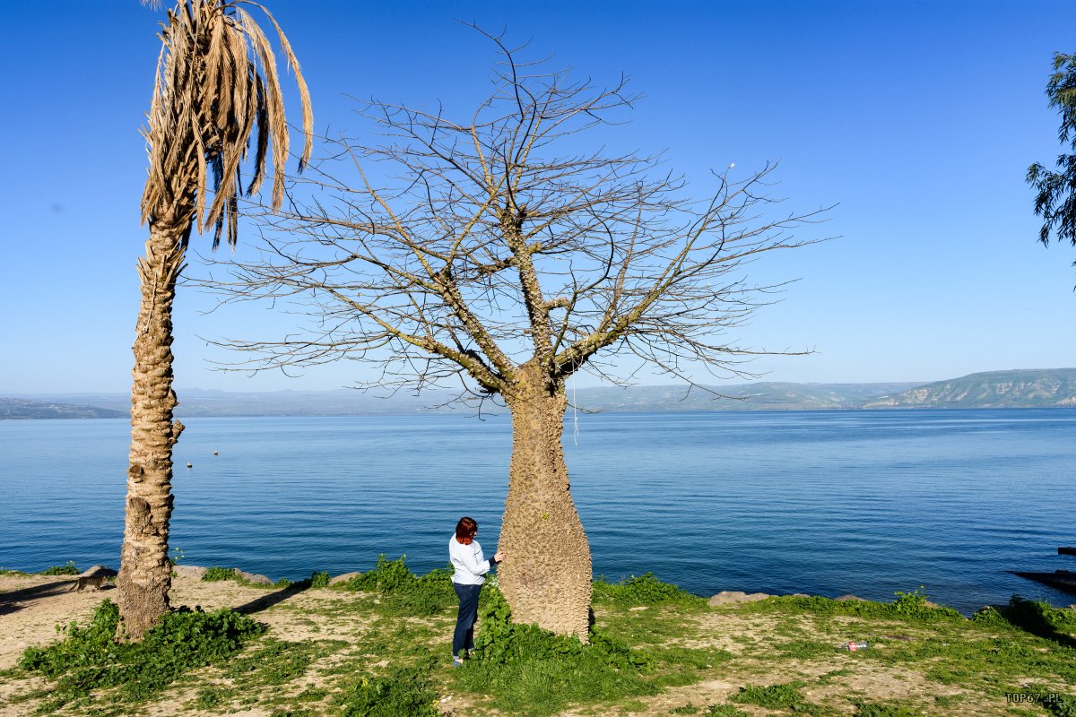 TPC_1513.jpg - Jezioro Galilejskie