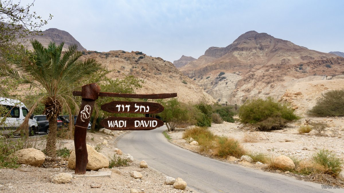 TPC_1963.jpg - Morze Martwe