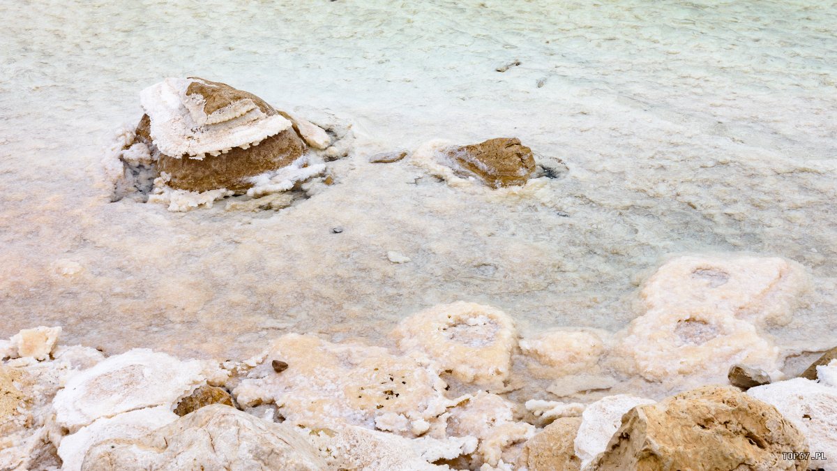 TPC_1969.jpg - Morze Martwe