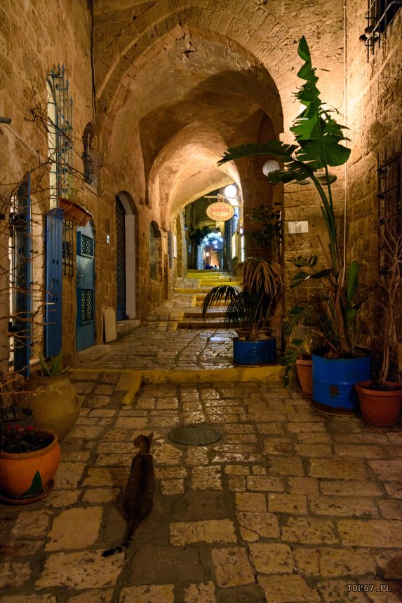 TPC_2082.jpg - Jaffa