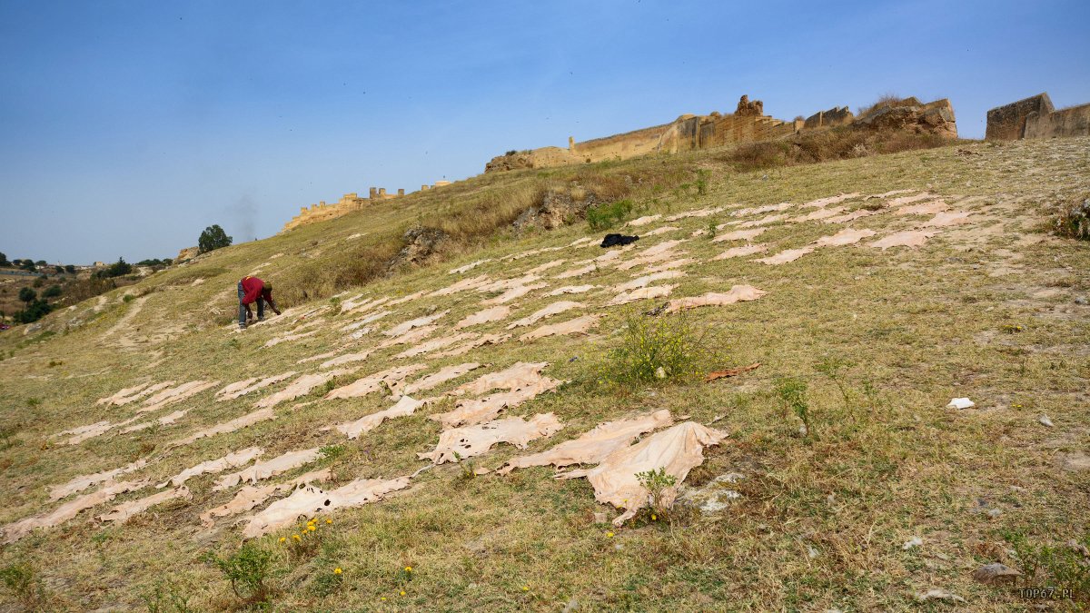 TP4_5479.jpg - Na wzgórzach nad Starą Mediną w Fez