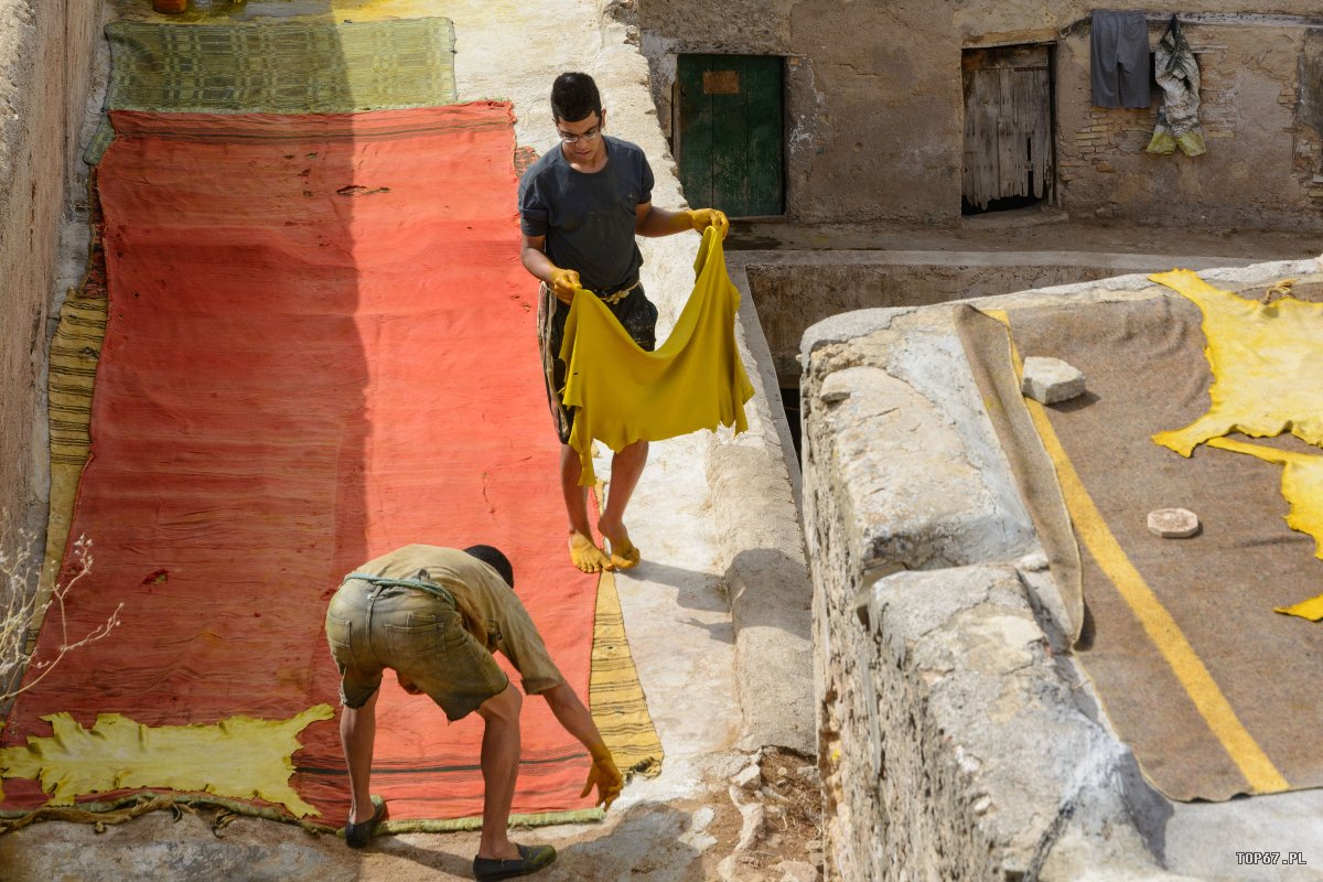 TP4_5486.jpg - Garbarnia w Fez