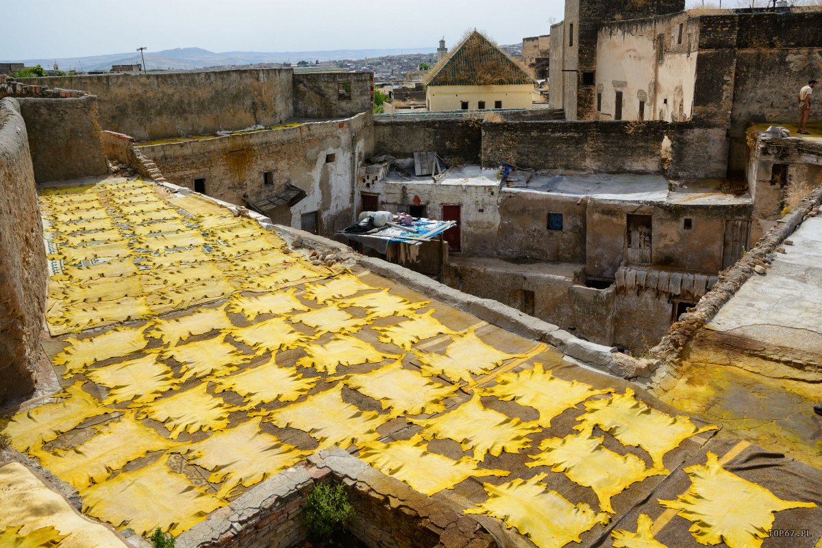 TP4_5489.jpg - Garbarnia w Fez