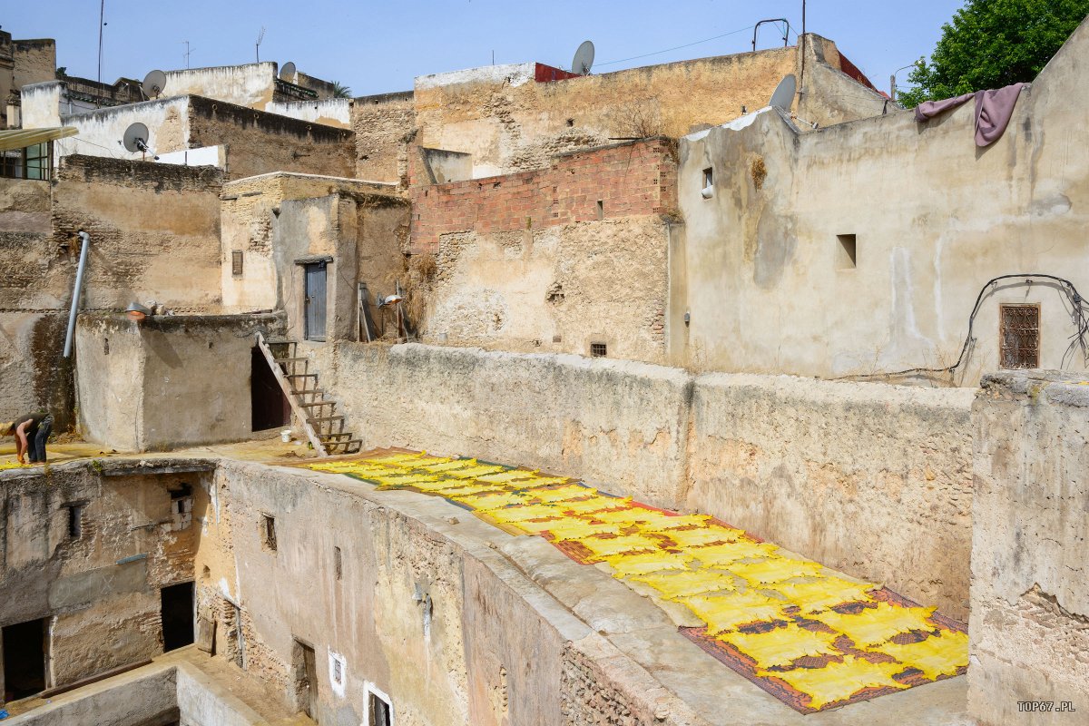TP4_5490.jpg - Garbarnia w Fez