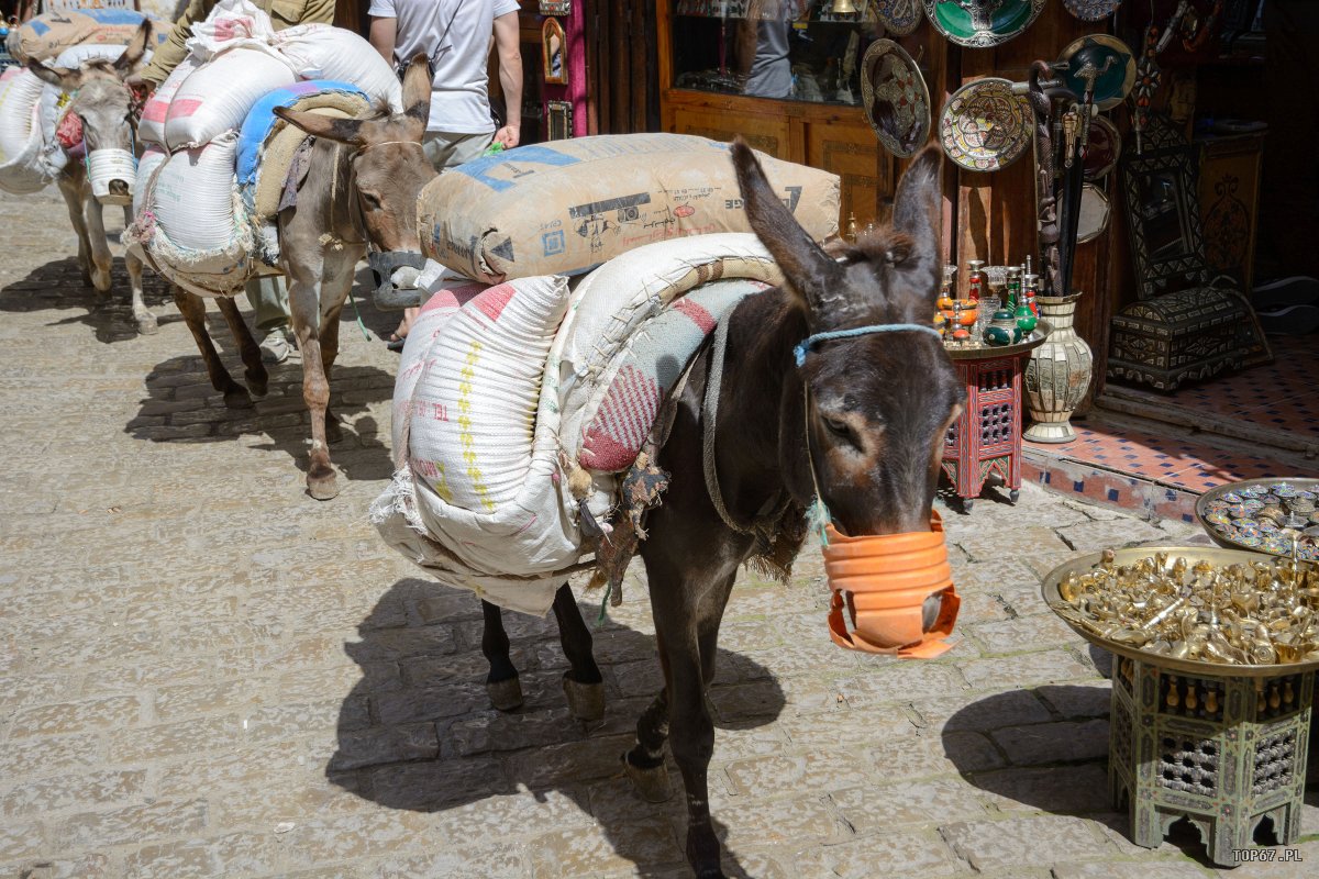 TP4_5583.jpg - Stara Medina w Fez