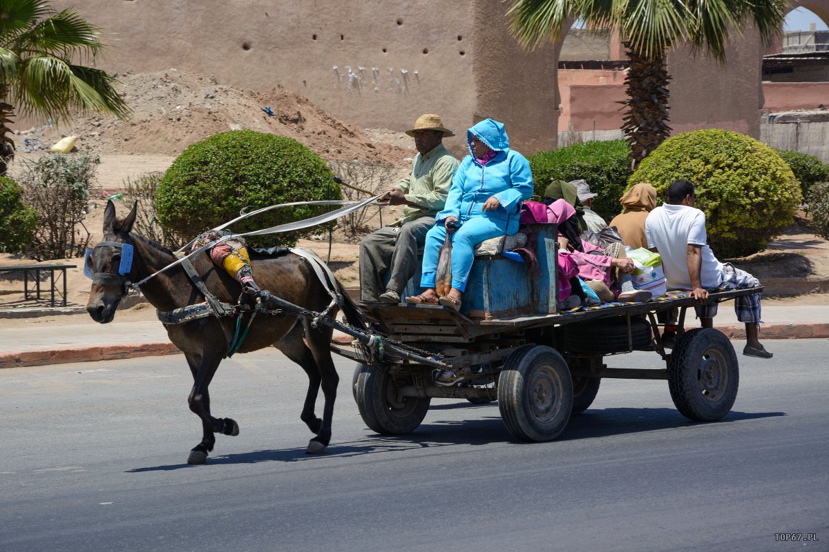 TP4_3073.jpg - Transport rodzinny
