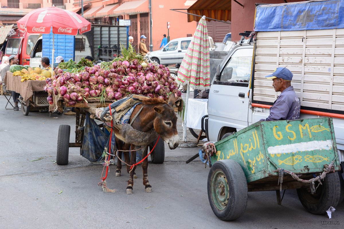 TP4_3088.jpg - Medina, Marrakech