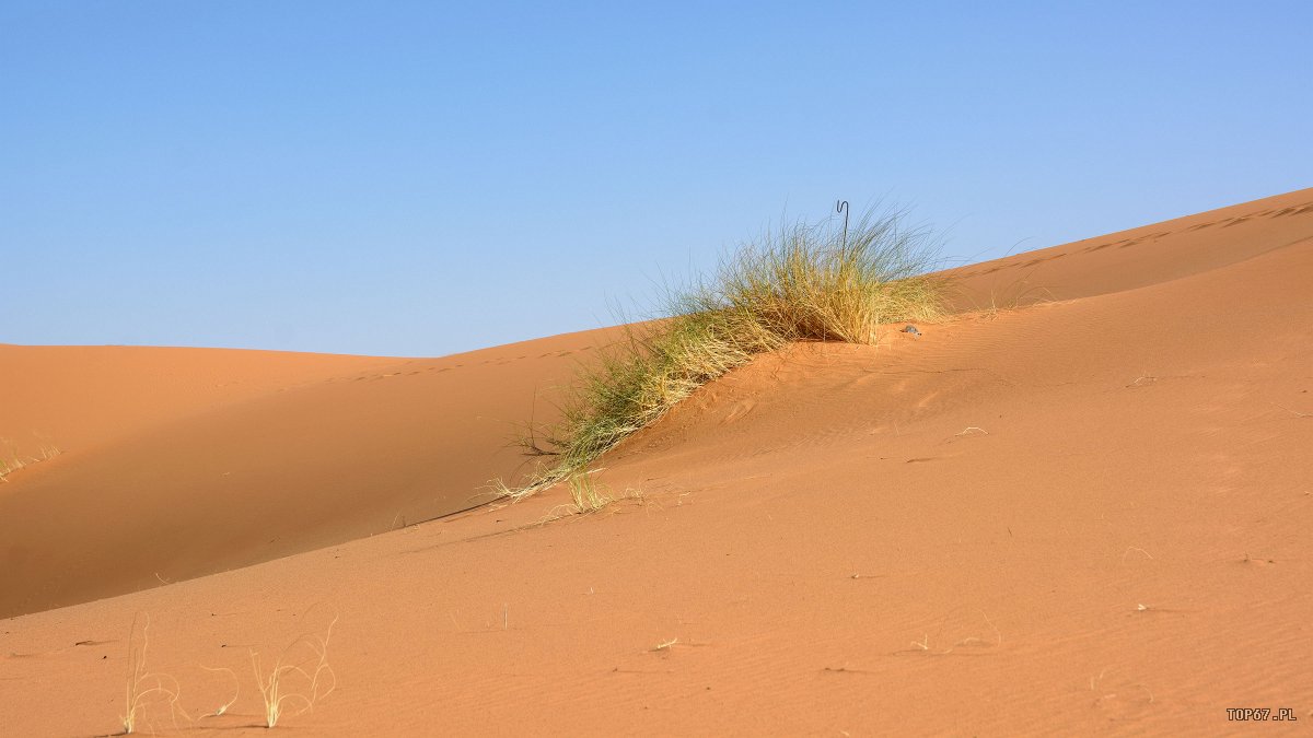TP4_4863.jpg - Erg Chebbi. Sahara