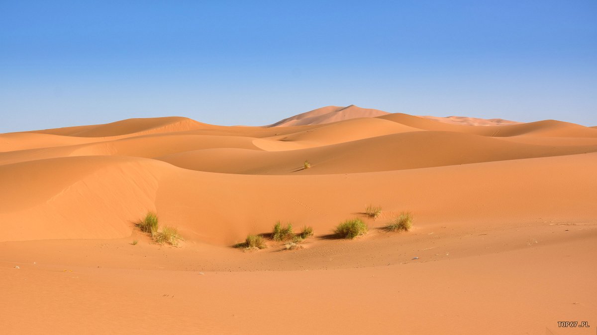 TP4_4868.jpg - Erg Chebbi. Sahara