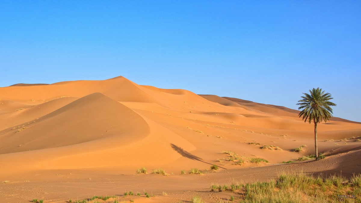 TP4_5001.jpg - Erg Chebbi. Sahara