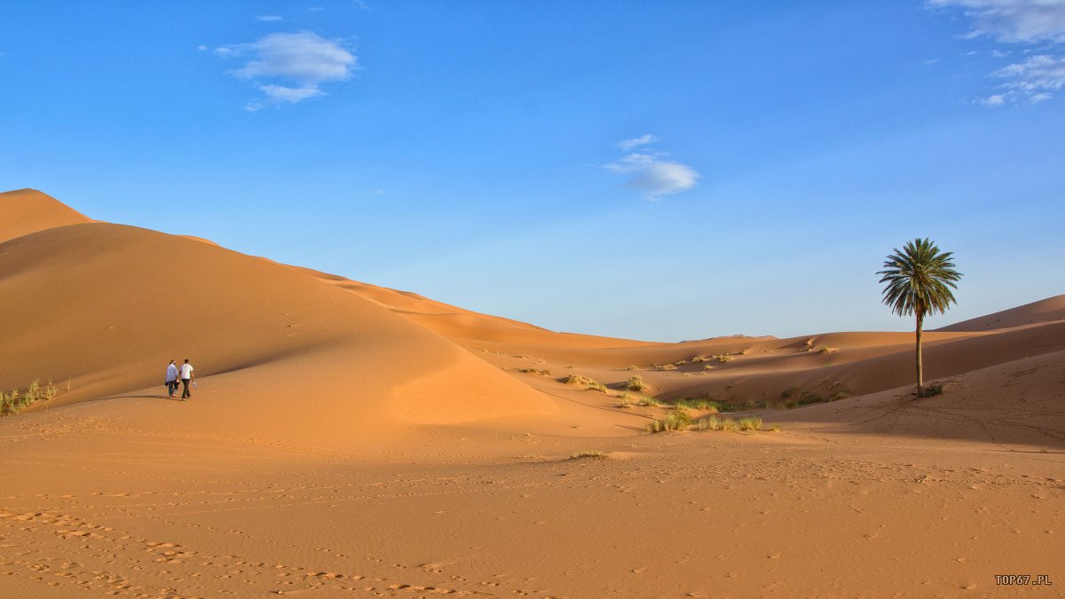 TP4_5024.jpg - Erg Chebbi. Sahara